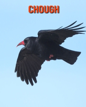 Paperback Chough: Beautiful Pictures & Interesting Facts Children Book About Chough Book
