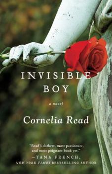 Invisible Boy - Book #3 of the Madeline Dare