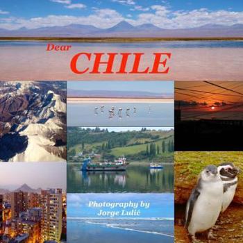 Paperback Dear Chile Book