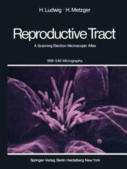 The Human Female Reproductive Tract: A Scanning Electron Microscopic Atlas