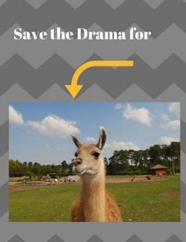 Paperback Save the Drama for Book