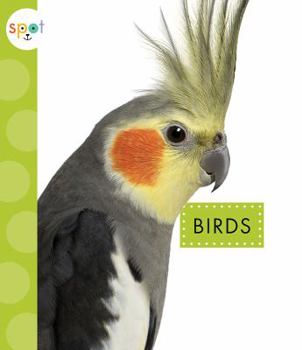 Paperback Birds Book