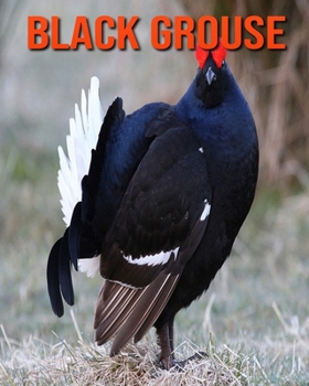 Paperback Black Grouse: Learn About Black Grouse and Enjoy Colorful Pictures Book