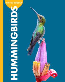 Paperback Curious about Hummingbirds Book