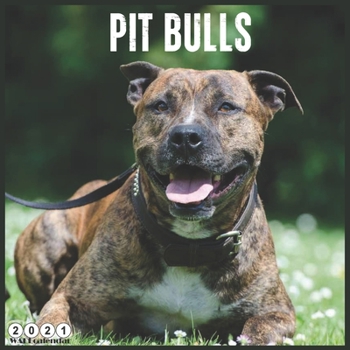 Paperback Pit Bulls 2021 Wall Calendar: Official PitBull 2021 Calendar 18 Months Book