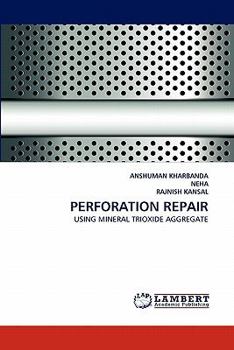 Paperback Perforation Repair Book
