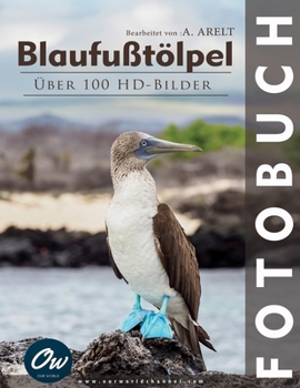 Blaufußtölpel: Fotobuch (German Edition)