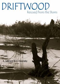 Paperback Driftwood Book