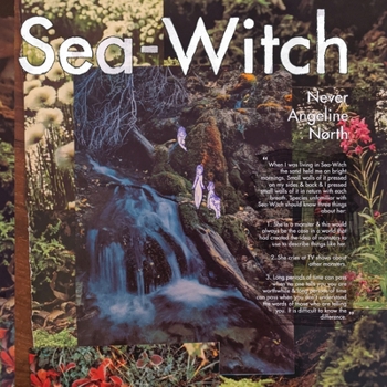 Paperback Sea-Witch Book