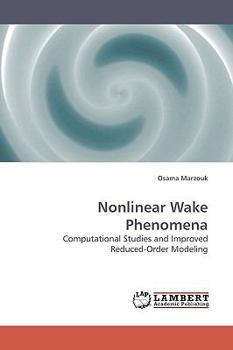 Paperback Nonlinear Wake Phenomena Book
