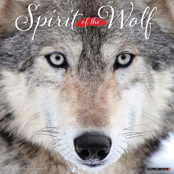 Calendar Spirit of the Wolf 2025 12 X 12 Wall Calendar Book