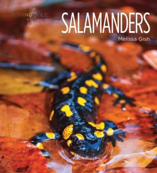Salamanders - Book  of the Living Wild
