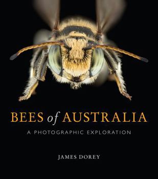 Paperback Bees of Australia: A Photographic Exploration Book
