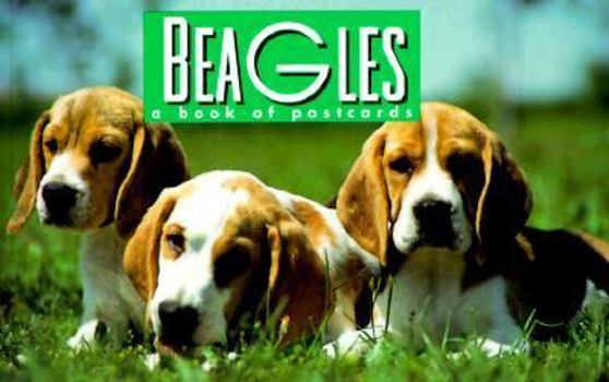 Paperback Beagles: Thirty Postcards Book