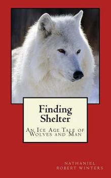 Paperback Finding Shelter from the Cold Book