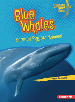 Paperback Blue Whales: Nature's Biggest Mammal Book