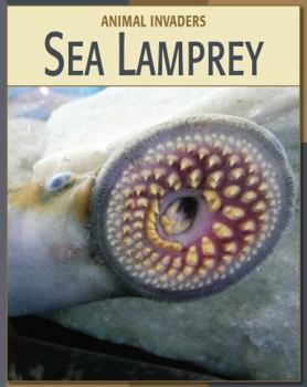 Sea Lamprey (Animal Invaders) - Book  of the Animal Invaders