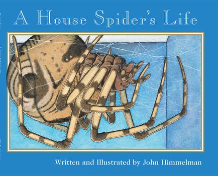 Paperback A House Spider's Life (Nature Upclose) Book
