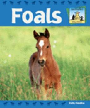 Library Binding Foals Book