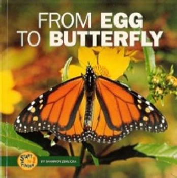 Paperback From Egg to Butterfly Book