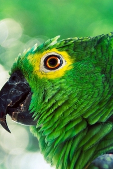 Journal: Green Parrot