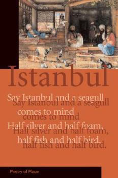 Paperback Istanbul Book