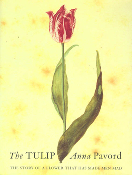 Hardcover The Tulip: The Story of a Flower That Has Made Men Mad Book