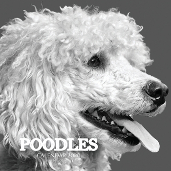 Paperback Poodles Calendar 2020: 16 Month Calendar Book