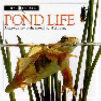 Hardcover Pond Life Book