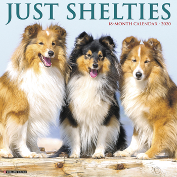 Calendar Just Shelties 2020 Wall Calendar (Dog Breed Calendar) Book