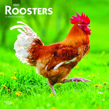 Calendar Roosters 2023 Square Book