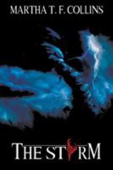 Paperback The Storm Book