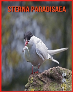 Paperback Sterna Paradisaea: Fatti divertenti e foto incredibili degli animali nella natura [Italian] Book