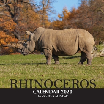 Paperback Rhinoceros Calendar 2020: 16 Month Calendar Book