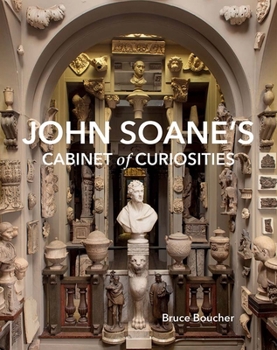 Hardcover John Soane's Cabinet of Curiosities: Reflections on an Architect and His Collection Book
