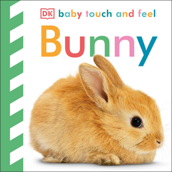 Bunny - Book  of the Baby Touch and Feel