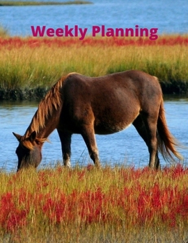 Paperback Weekly Planning: For lovers Horse gifts Idea for Women and Men Book