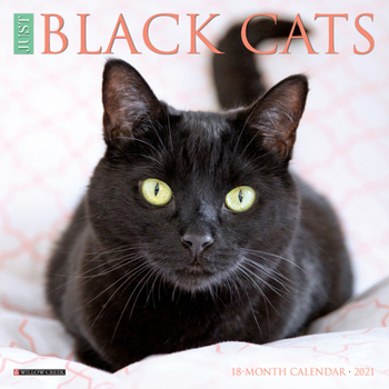 Calendar Just Black Cats 2021 Mini Wall Calendar Book
