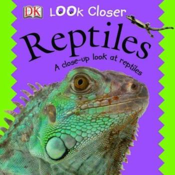 Hardcover Reptiles : Look Closer Book
