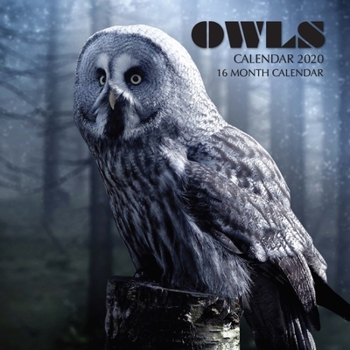 Paperback Owls Calendar 2020: 16 Month Calendar Book