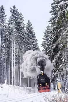 Paperback Full Steam Ahead Notebook Book