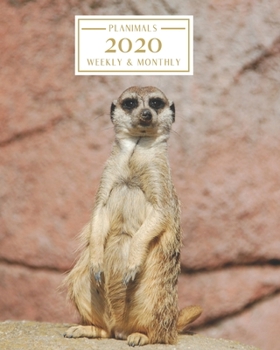 Paperback 2020: Weekly and Monthly Planner/Calendar Jan 2020 - Dec 2020 Meerkat Book