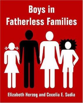 Paperback Boys in Fatherless Families Book