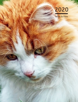 2020 A4 Diary Week To View Planner For All Occasions: | Year Planner For Business, Office, Home, University, College, School, Appointments, Organizer.