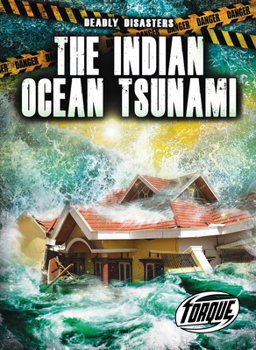 Library Binding The Indian Ocean Tsunami Book