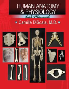 Spiral-bound Human Anatomy and Physiology Lab Manual Book