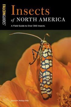 Paperback Insects of North America: A Field Guide to Over 300 Insects Book