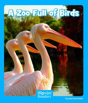 Paperback A Zoo Full of Birds Book