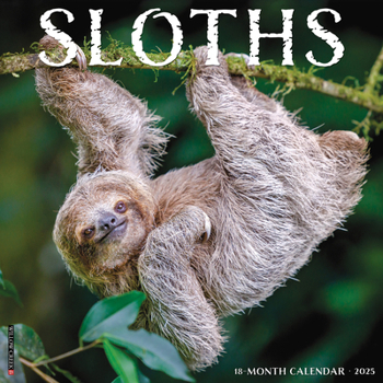 Calendar Sloths 2025 12 X 12 Wall Calendar Book