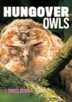 Paperback Hungover Owls Book